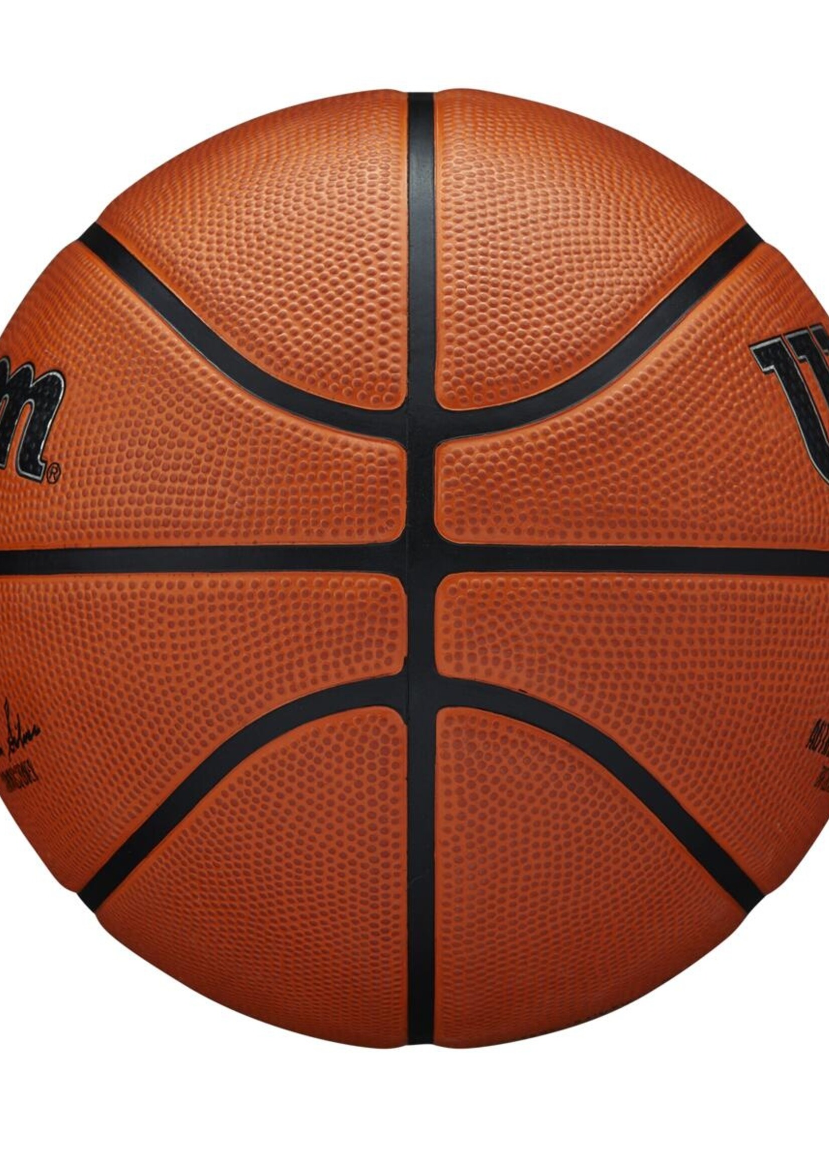 Wilson Wilson NBA Authentic Series Outdoor Ballon De Basket (7)