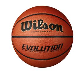 Wilson Evolution Indoor | Verzending - Burned