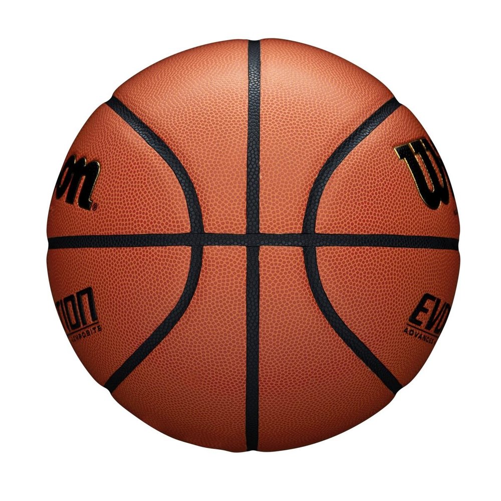 Wilson Evolution Indoor Gratis Verzending Burned Sports