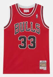 Mitchell & Ness Mitchell & Ness Chicago Bulls Scottie Pippen Jersey Rood Mitchell & Ness Mitchell & Ness Chicago Bulls Scottie Pippen Jersey Rood