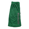 Outerstuff NBA Boston Celtics Jayson Tatum Short Groen Outerstuff NBA Boston Celtics Jayson Tatum Short Groen