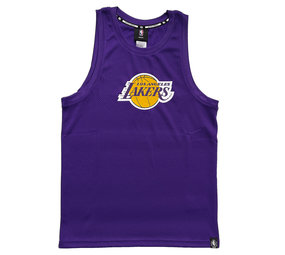 Outerstuff NBA Los Angeles Lakers Lebron James Purple Swingman
