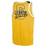 Outerstuff Los Angeles Lakers Lebron James Jersey Geel Outerstuff Los Angeles Lakers Lebron James Jersey Geel