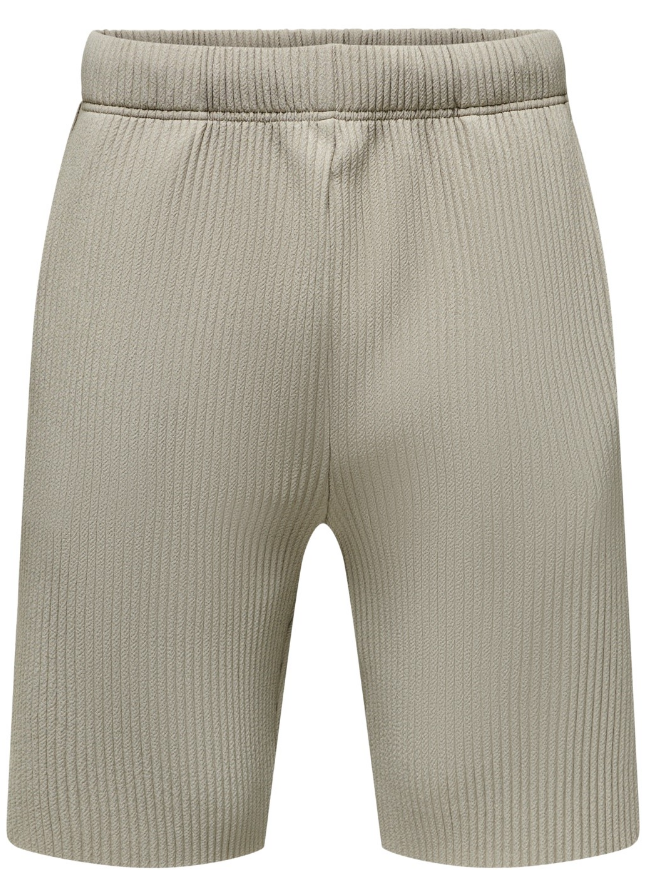 Only & Sons / shorts Asher Pleated in khaki