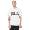 Dickies Aitkin Tee White Fired Brick Dickies Aitkin Tee White Fired Brick