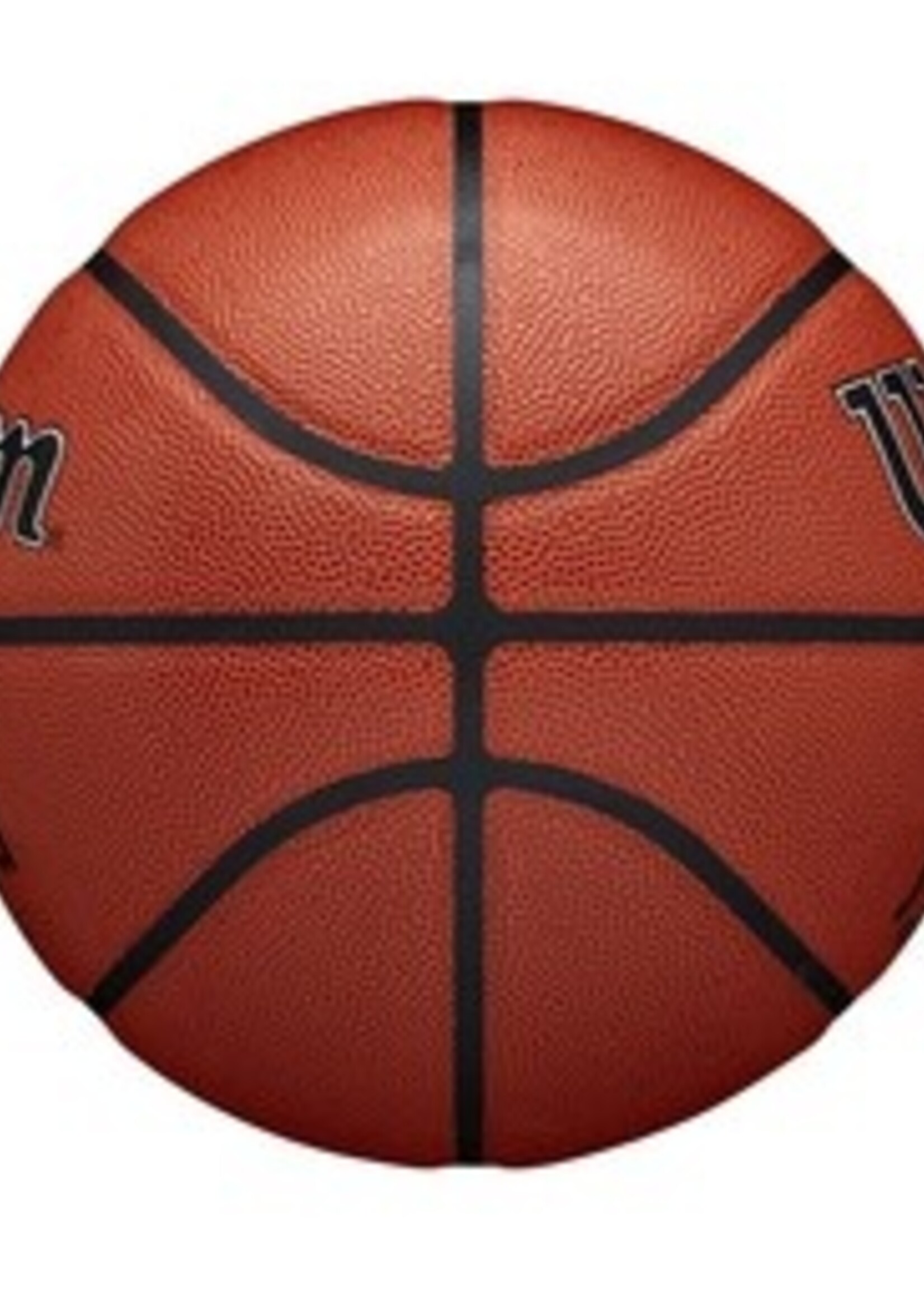 Wilson Basket-ball extérieur intérieur authentique Wilson JR NBA (6)