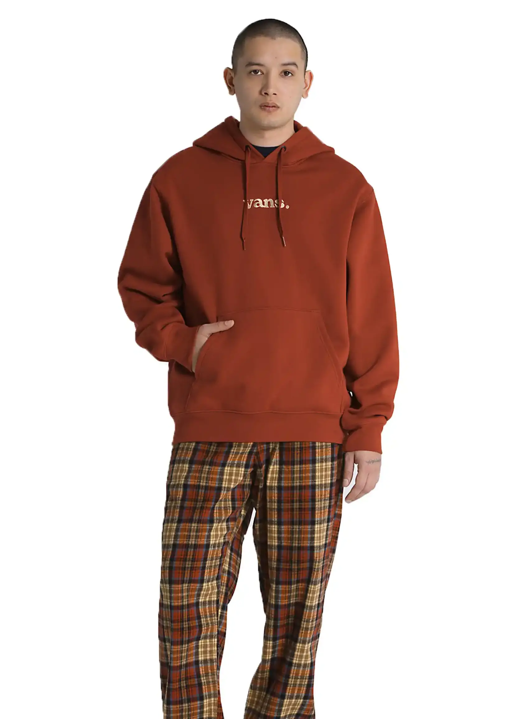 Vans Lowered Relaxed Hoodie Rouge