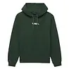 Vans Mountain View Relaxed Hoodie Green Vans Mountain View Relaxed Hoodie Green