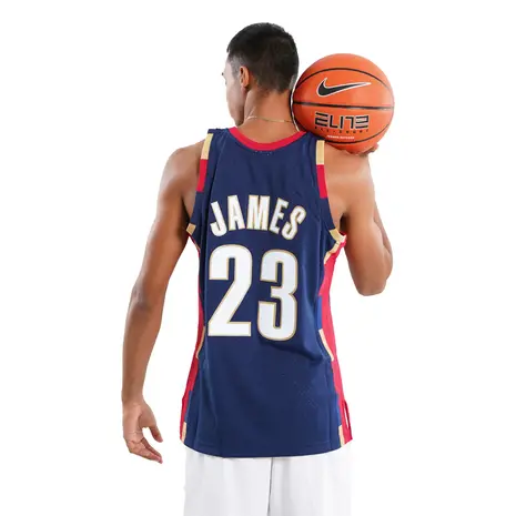 Nike NBA Cleveland Cavaliers LeBron James Swingman Jersey