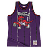 Mitchell & Ness NBA Swingman Toronto Raptors Tracy McGrady Jersey Purple Mitchell & Ness NBA Swingman Toronto Raptors Tracy McGrady Jersey Purple