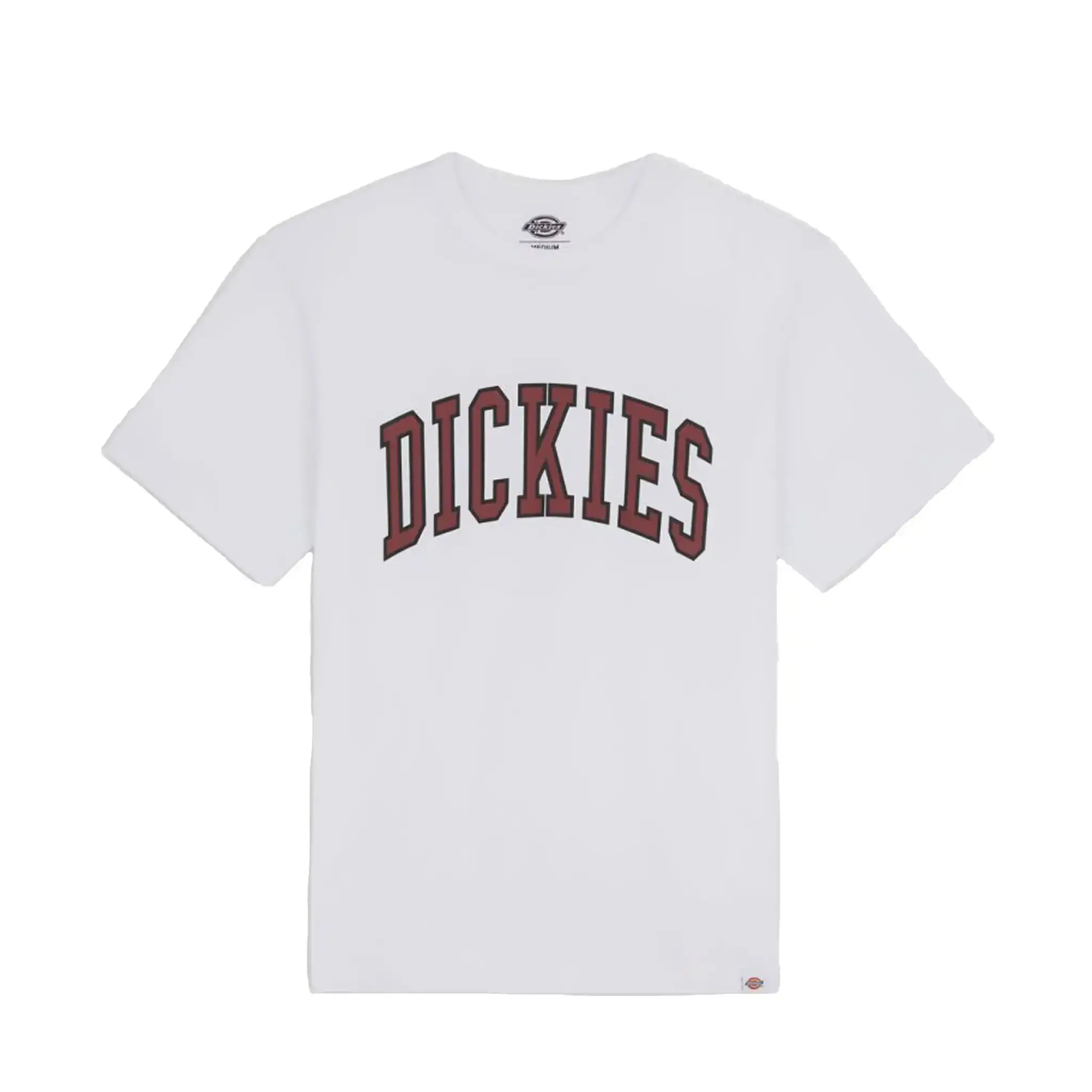 Dickies / t-shirt Aitkin in wit