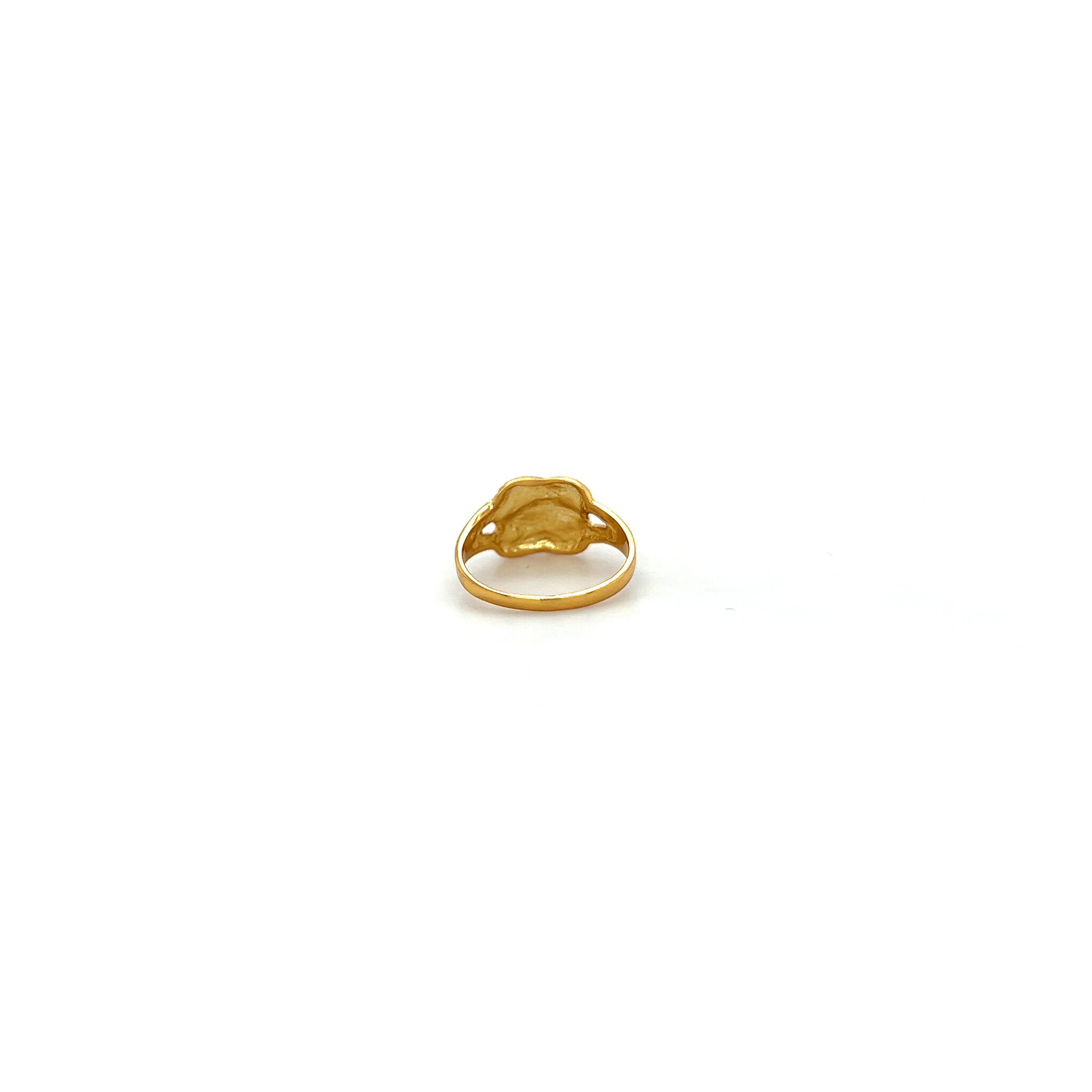 Ring mattenklopper-3