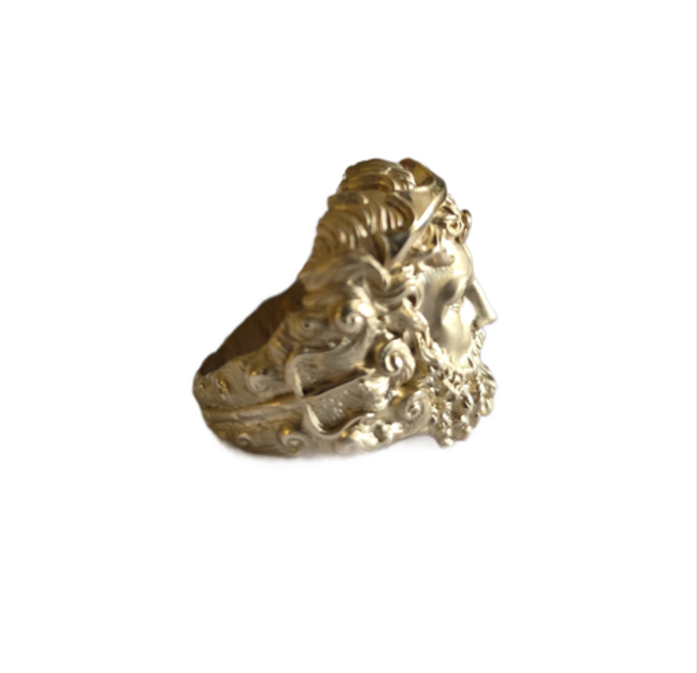 Ring gematteerd hoofd Zeus-4