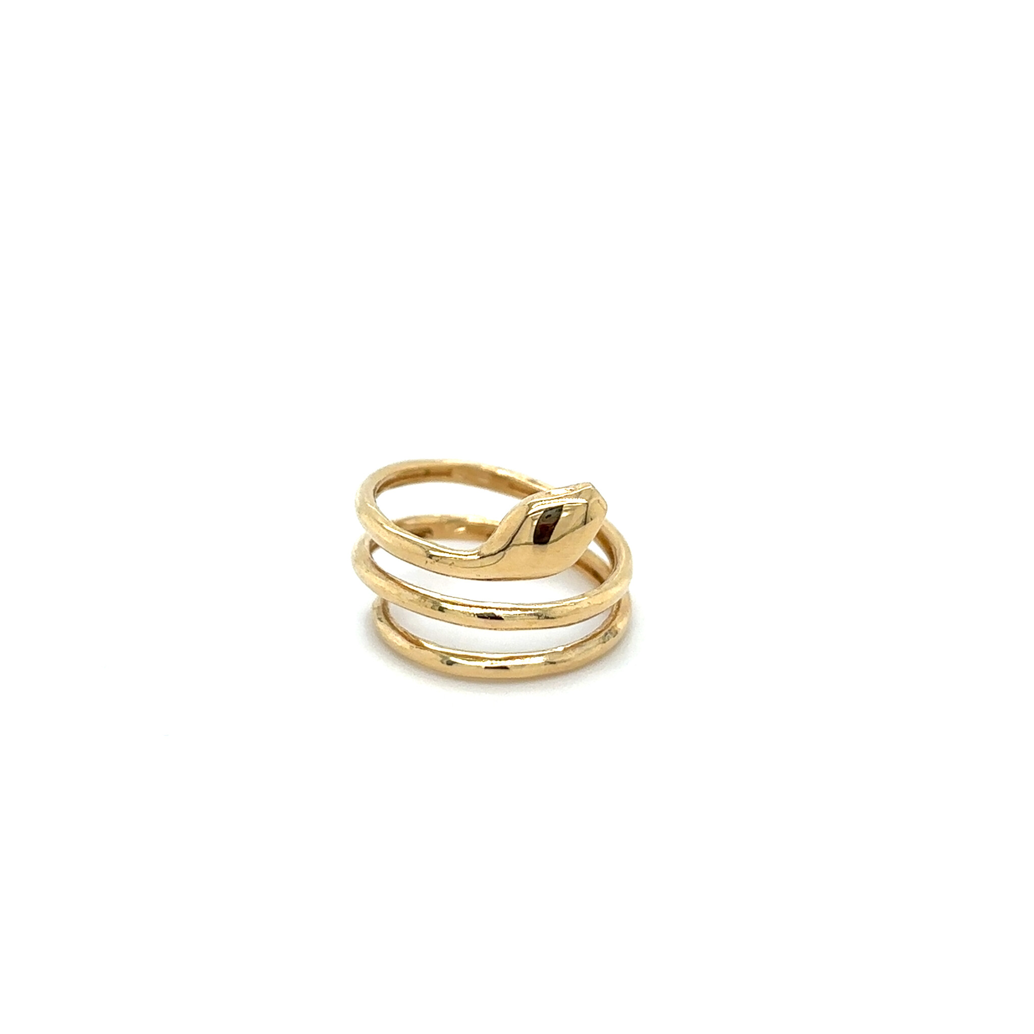 Ring  met spiraal en slang-1