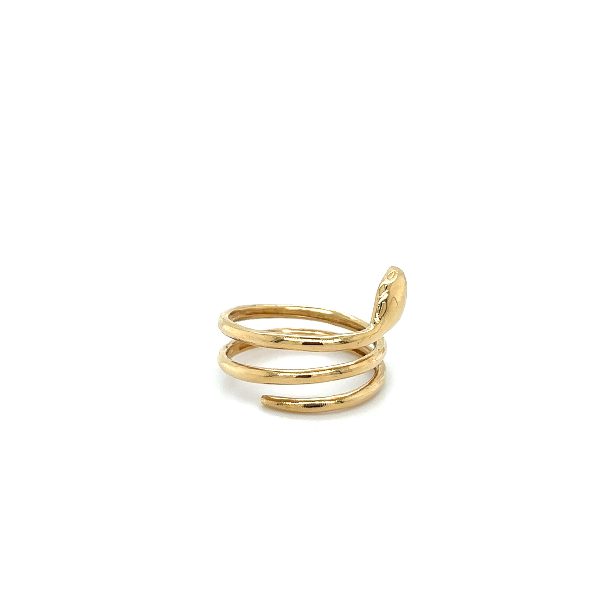 Ring  met spiraal en slang-2