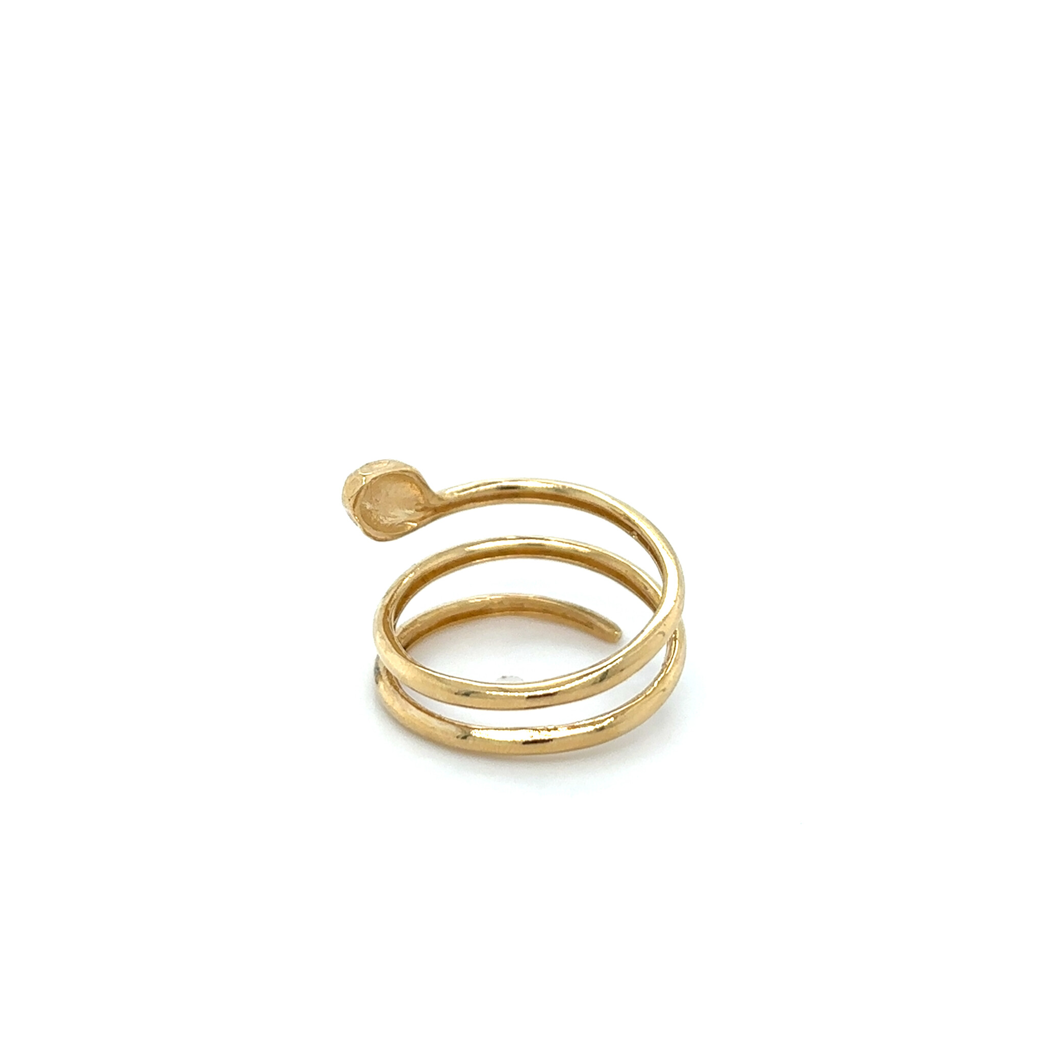 Ring  met spiraal en slang-3