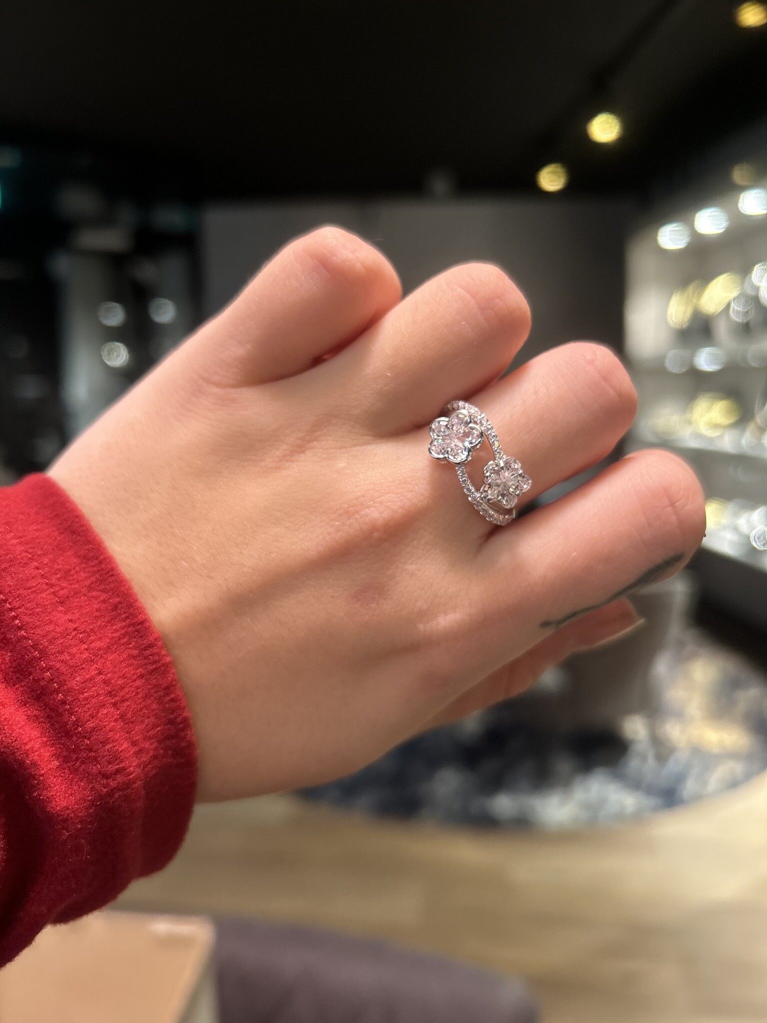 Ring met dubbele scheen en kleine en grote zirkonias-2