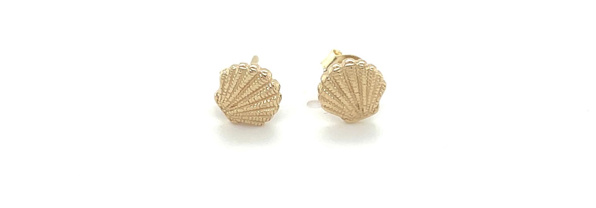 Oorbellen schelp oorbellen