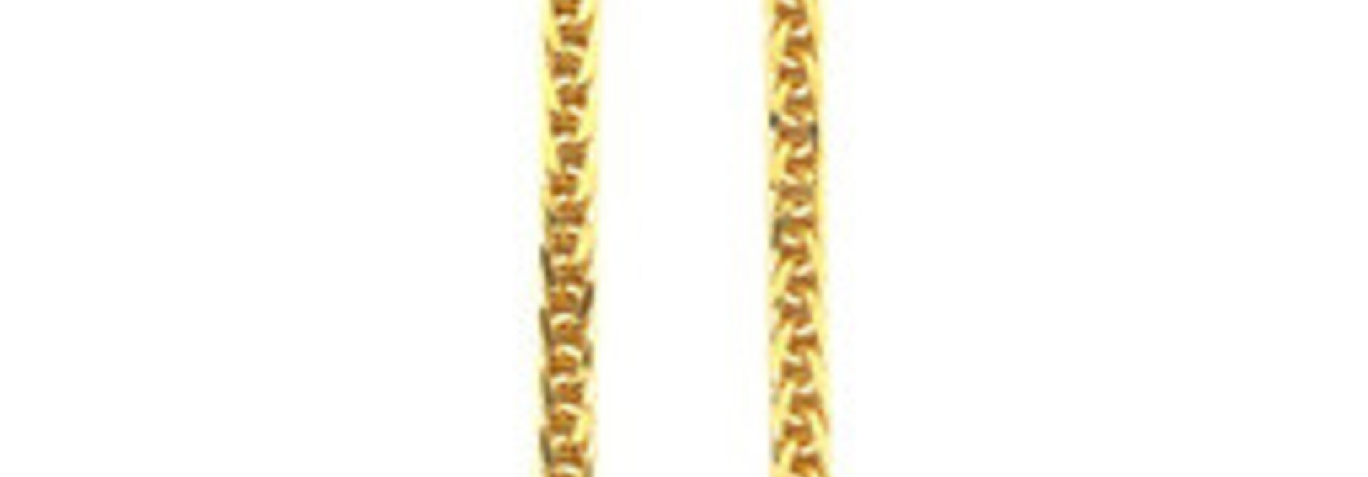 Ketting vossestaart