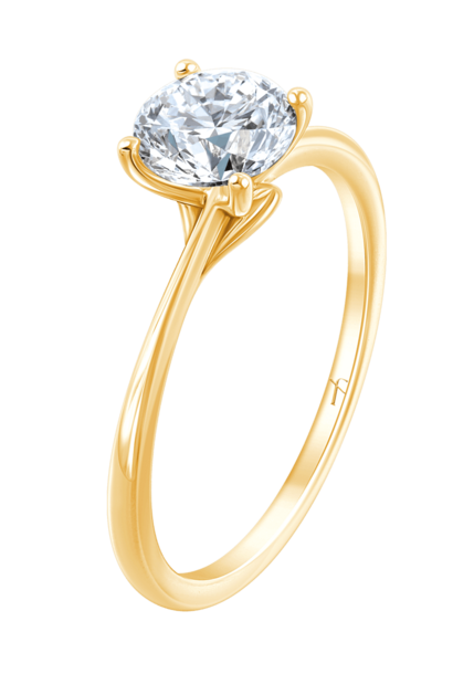 Fyere AMI Lab Grown Rond 0,50 ct