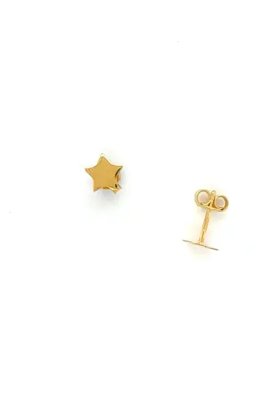 "Superstar" oorbellen