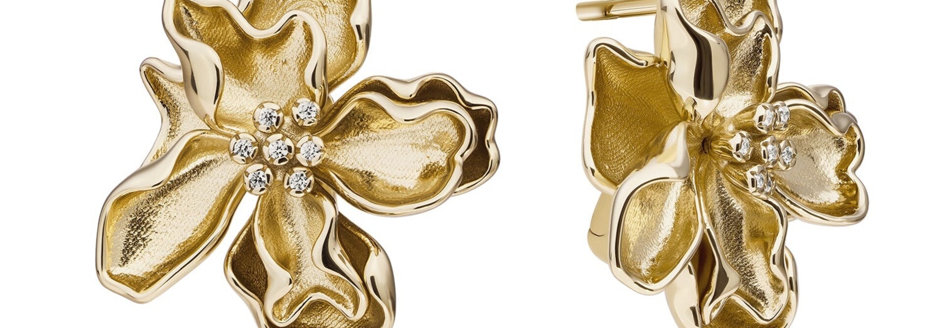 Oorbellen Botanic Push Back Earrings Goudkleurig - Zirconia