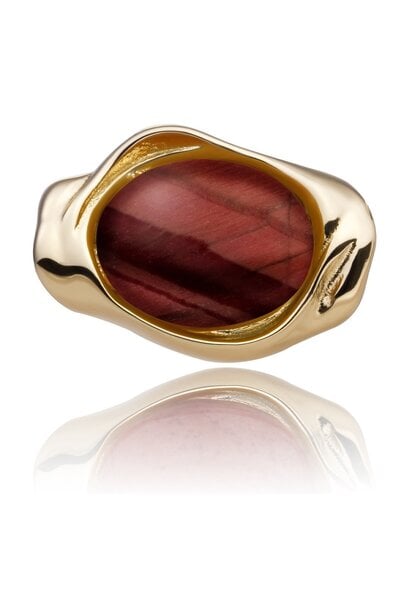 Hanger Red Tiger Eye Flow Amulet Goudkleurig