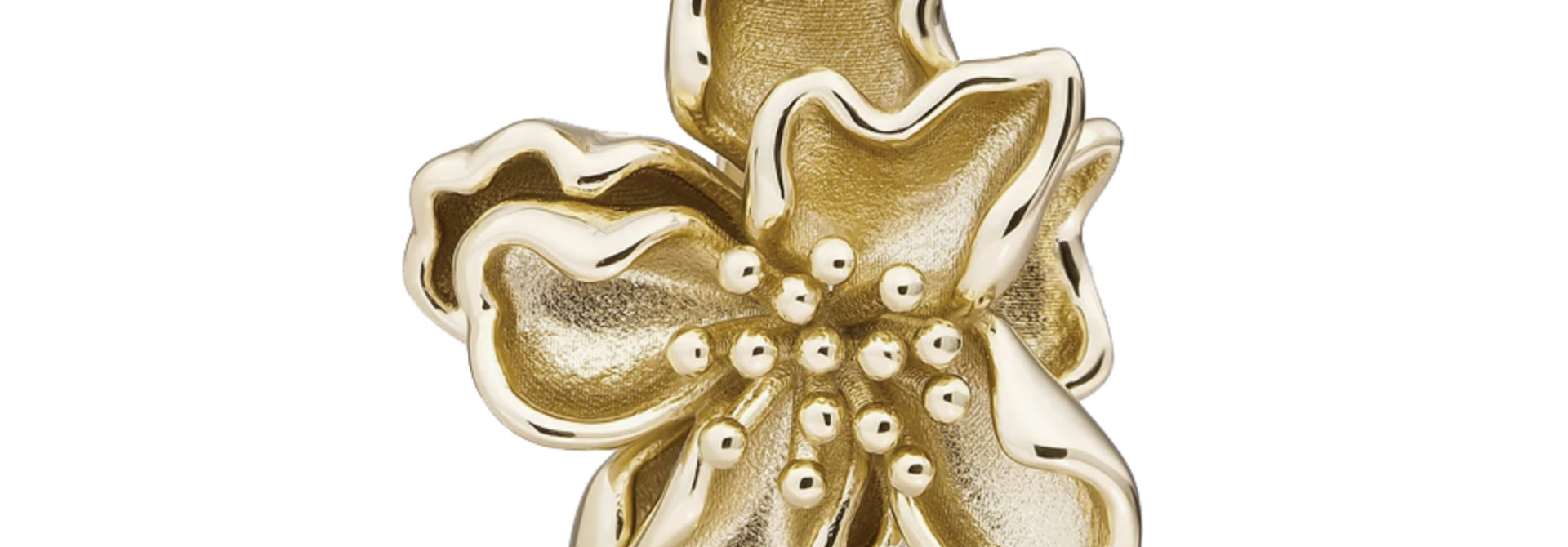 Hanger Botanic Clip Goudkleurig - Zirconia