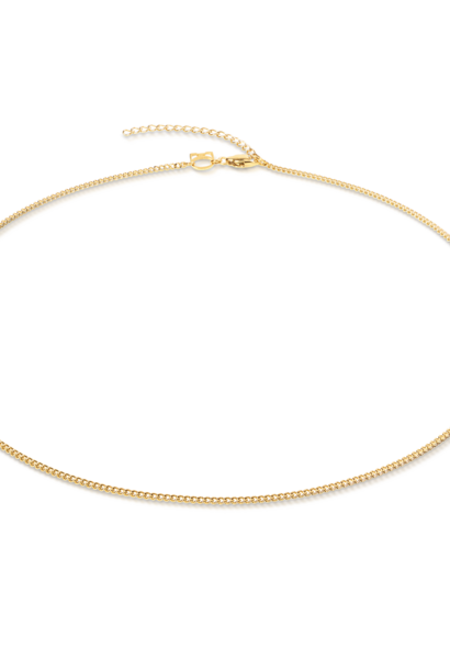 Collier Delicate Charm Goudkleurig