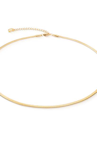 Collier Flat Snake Chain Goudkleurig