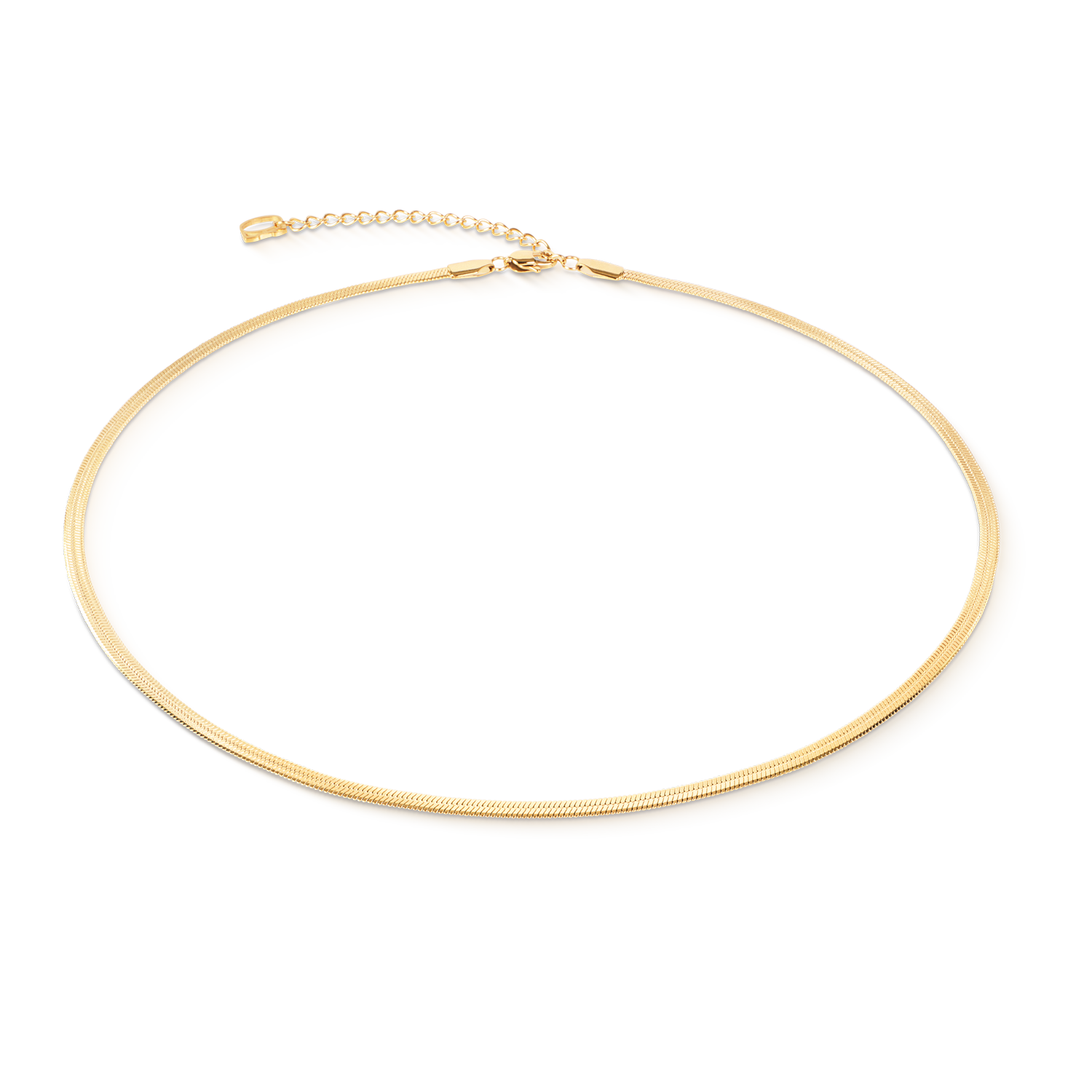 Collier Flat Snake Chain Goudkleurig-1