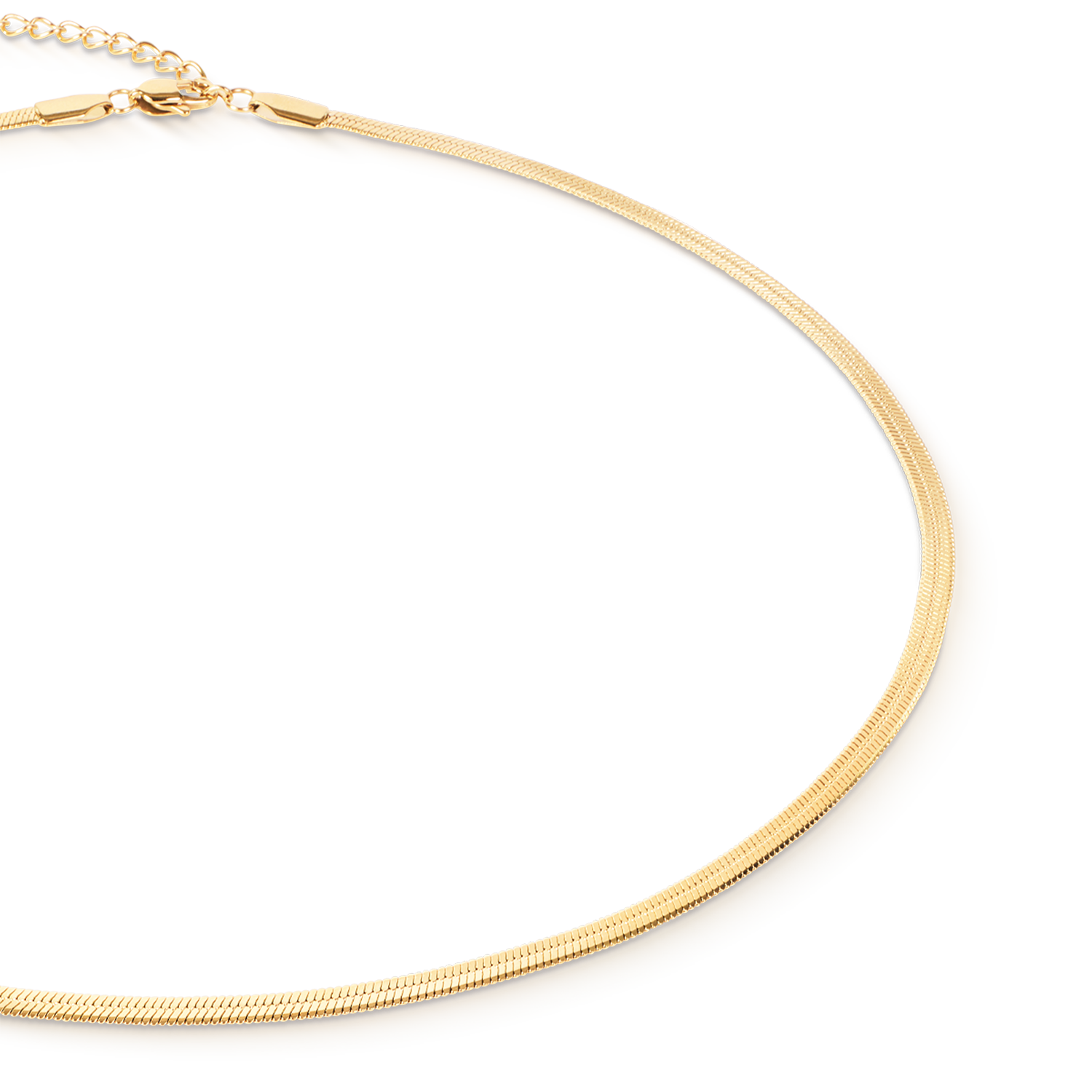 Collier Flat Snake Chain Goudkleurig-2