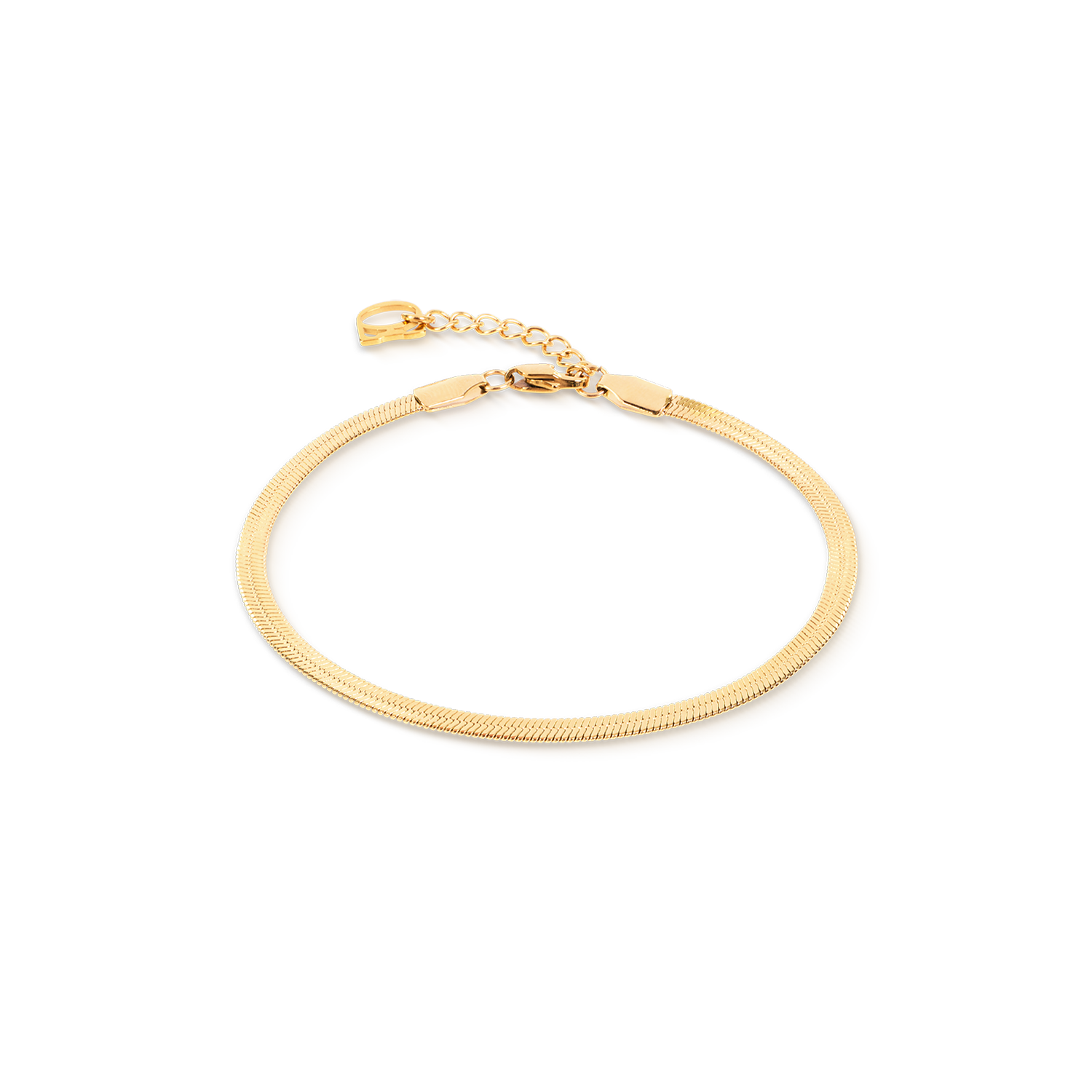 Armband Flat Snake Chain Goudkleurig-1