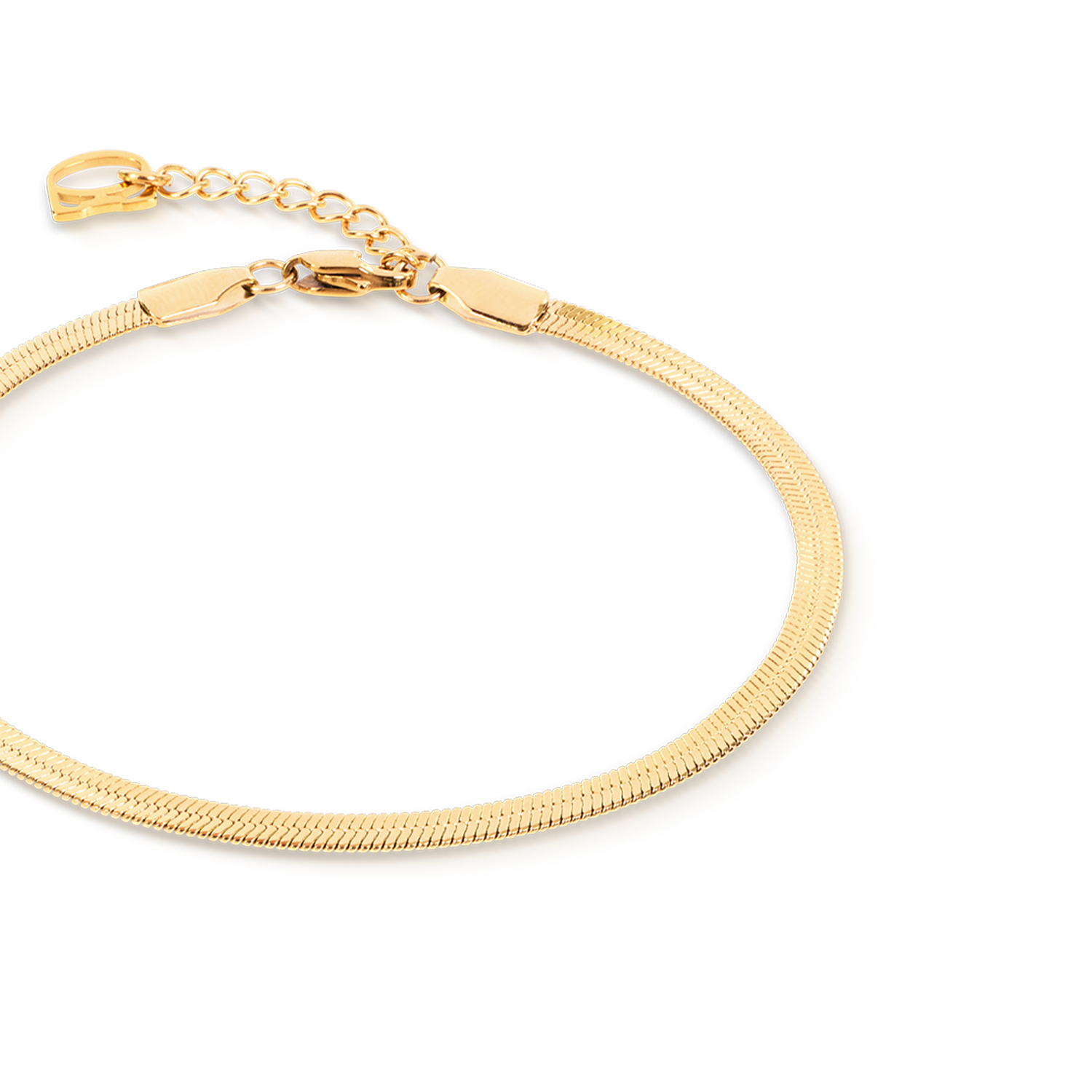 Armband Flat Snake Chain Goudkleurig-2