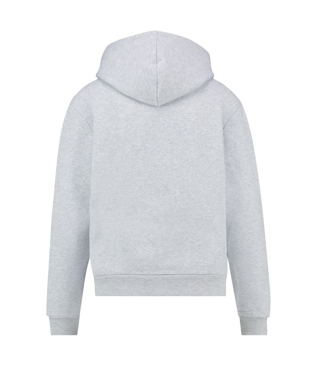 TOODY - Grijze hoodie met metallic logo
