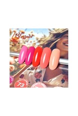 Nailit Products 2Blossom - collection pack