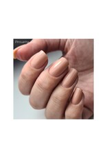 Nailit Products Pirouette - 35 - French Ballet