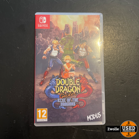 Switch game Double Dragon