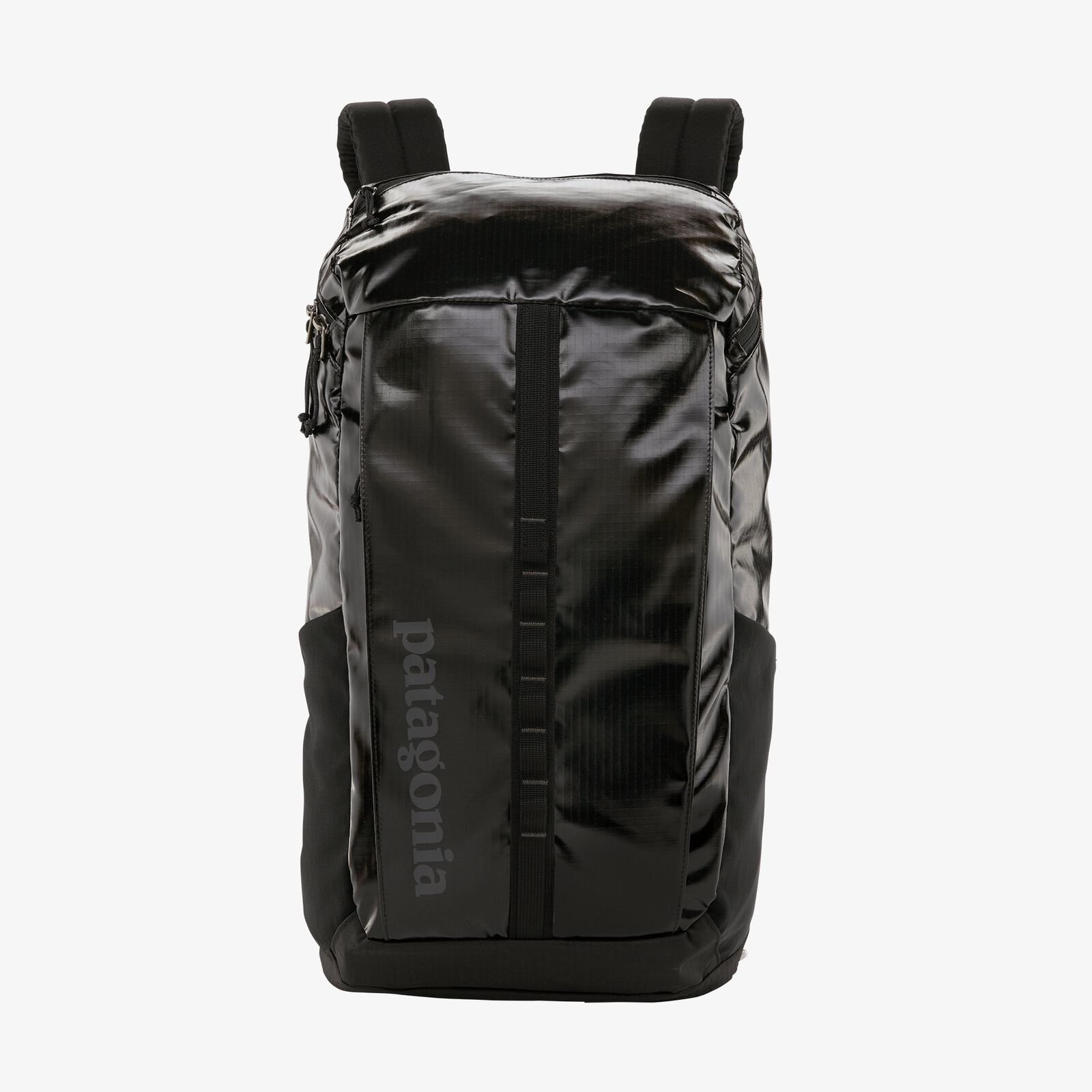 Patagonia Black Hole pack 25L Black Behind the Pines