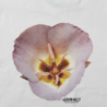 Gramicci Gramicci Flower Tee White Gramicci Gramicci Flower Tee White