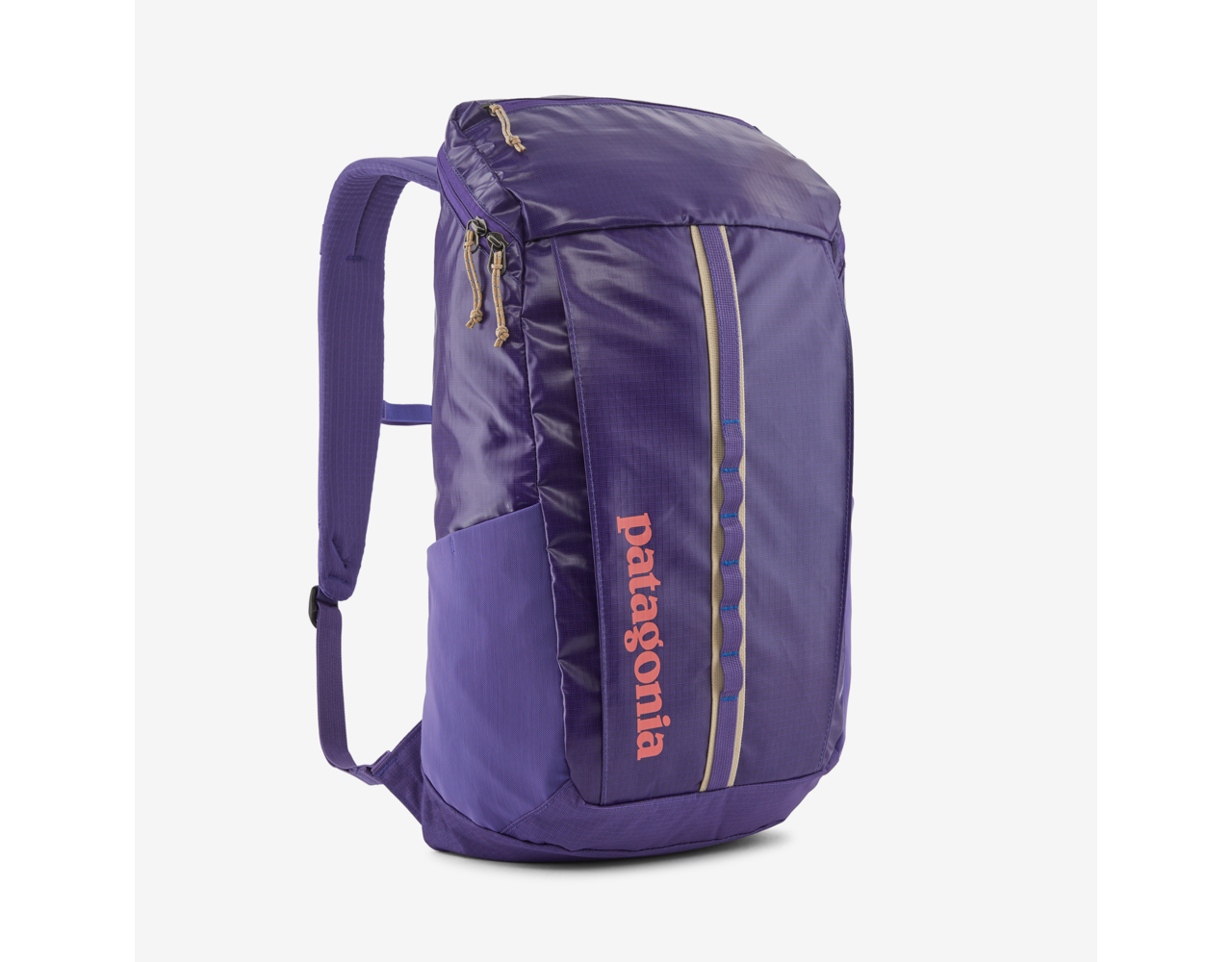 Patagonia Black Hole Pack 25L Perennial Purple Behind the Pines