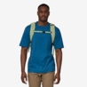 Patagonia Patagonia Black Hole Pack 25L Friend Green Patagonia Patagonia Black Hole Pack 25L Friend Green