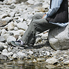 Karhu Karhu Legacy 96 Iceberg Green / Lily White F806053 Karhu Karhu Legacy 96 Iceberg Green / Lily White F806053