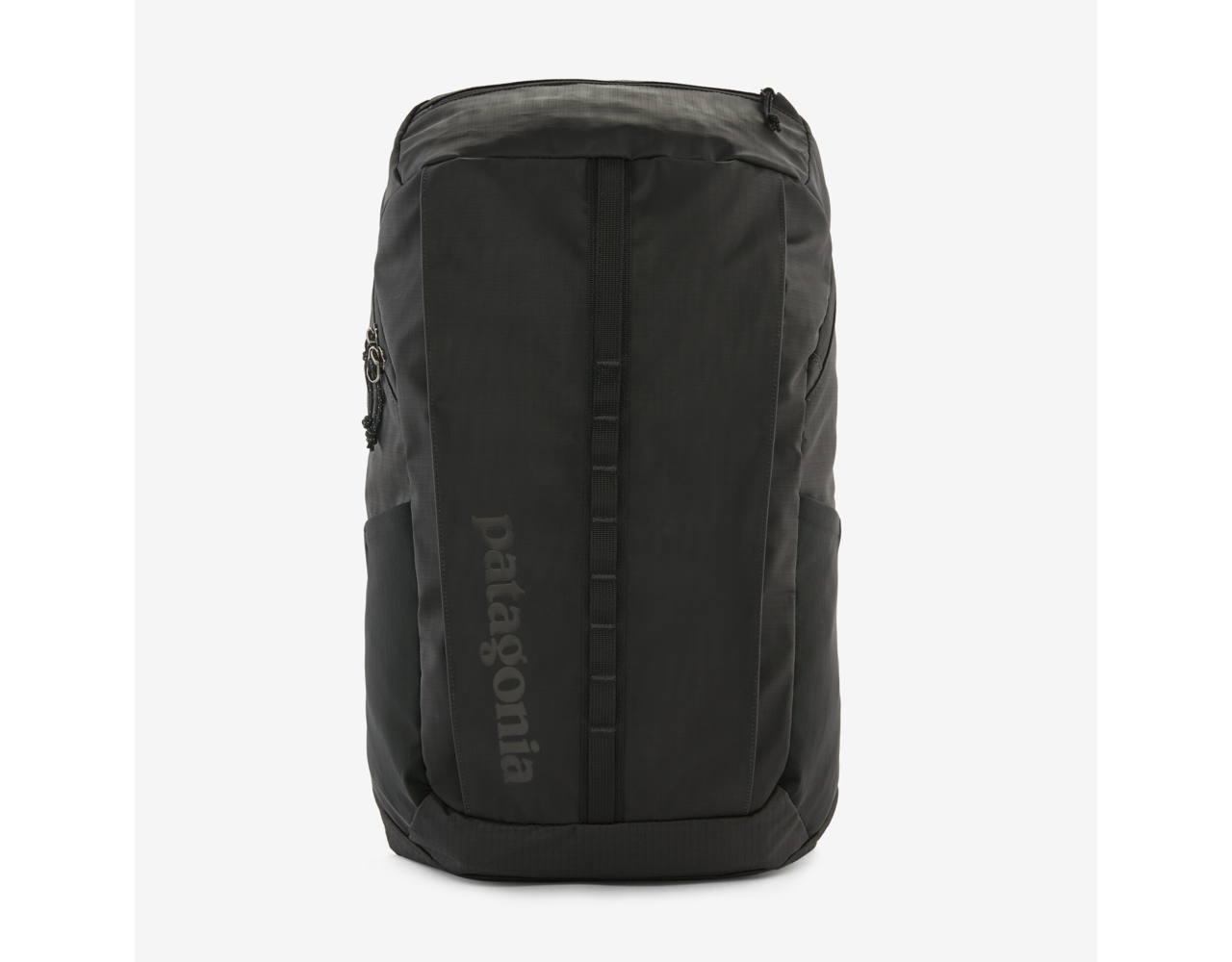 Patagonia Black Hole Pack 25L Black Behind the Pines