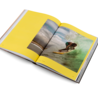 Gestalten Gestalten Surf Porn Gestalten Gestalten Surf Porn