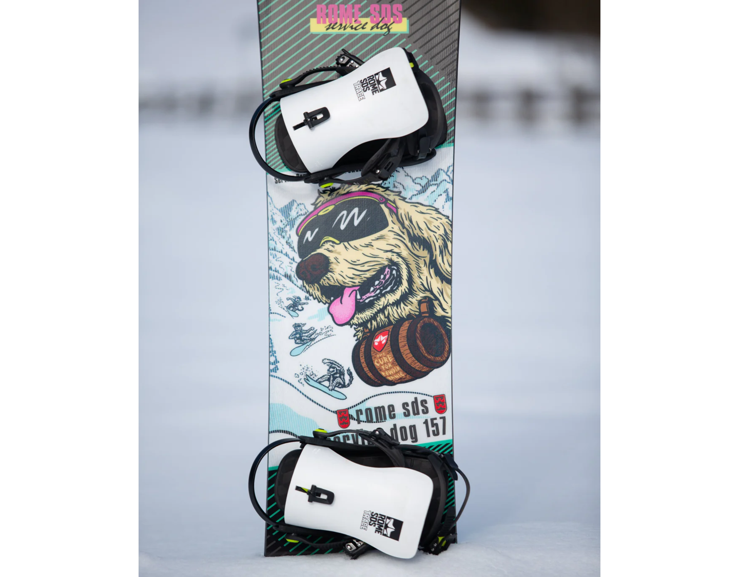 ROME SERVICE DOG157 ROME SDS SERVICE DOG157