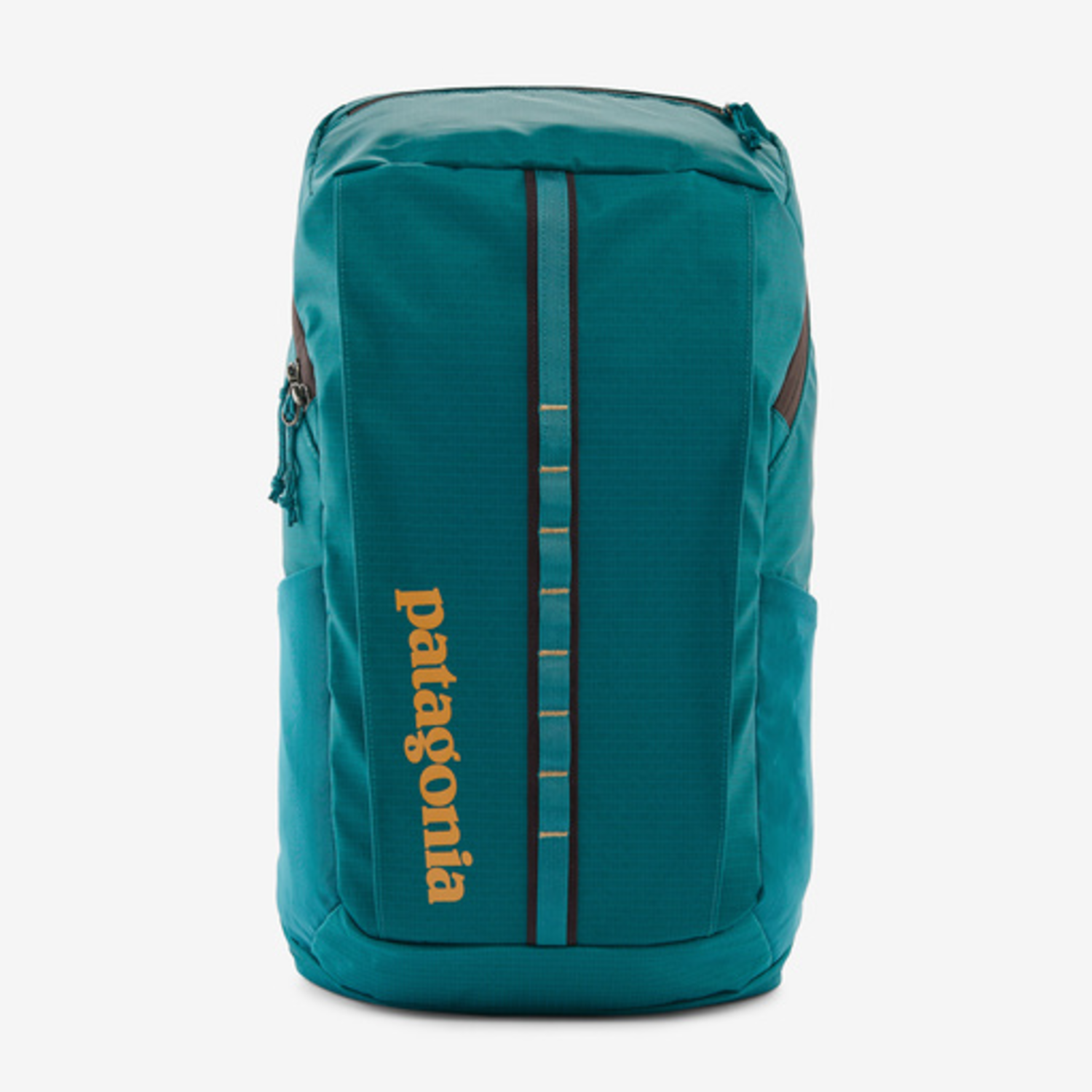 Patagonia Black Hole Pack 25L Belay Blue Behind the Pines