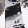 Burton Burton Family Tree Alekesam 2025 Snowboard Burton Burton Family Tree Alekesam 2025 Snowboard