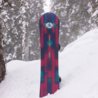 Burton Burton Family Tree Alekesam 2025 Snowboard Burton Burton Family Tree Alekesam 2025 Snowboard
