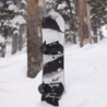 Burton Burton Family Tree Alekesam 2025 Snowboard Burton Burton Family Tree Alekesam 2025 Snowboard